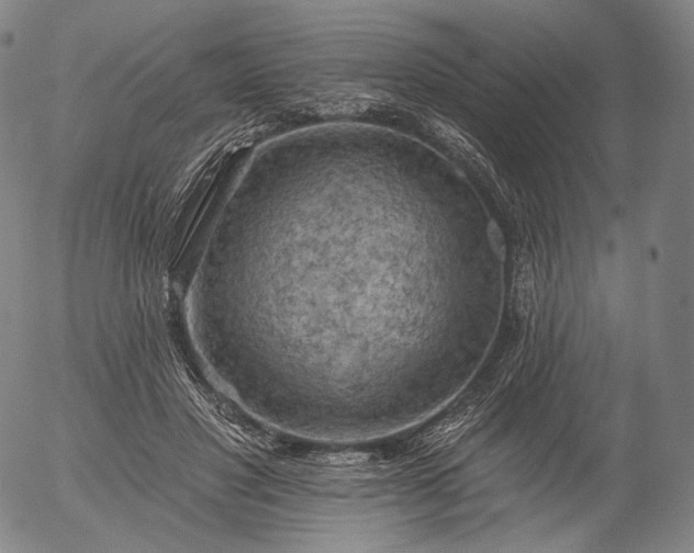 X0000055990501200509021642