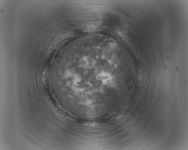 X0000055990503200509021642