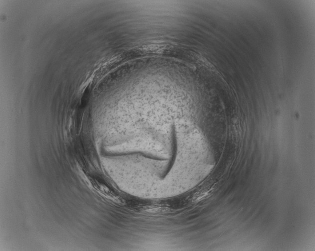 X0000055990504200509021642