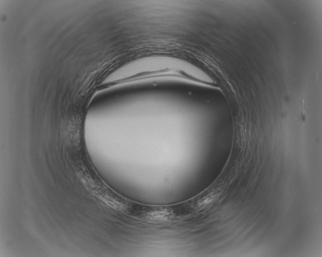 X0000055990505200509021642