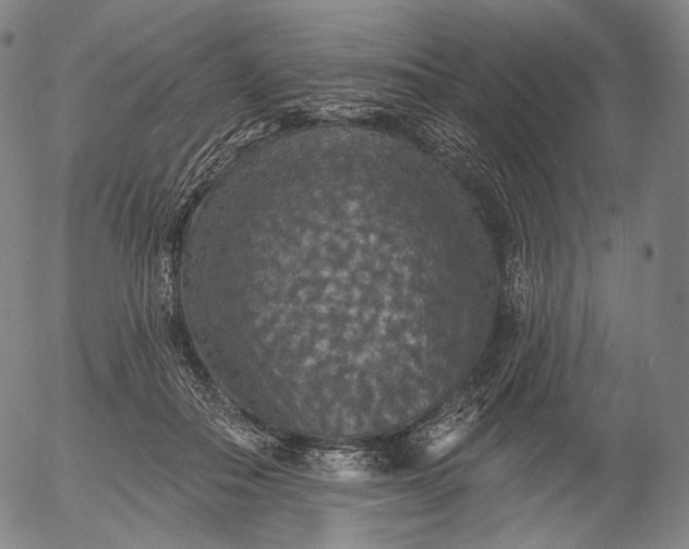 X0000055990506200509021642