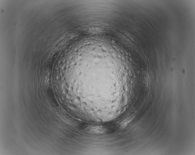 X0000055990507200509021642