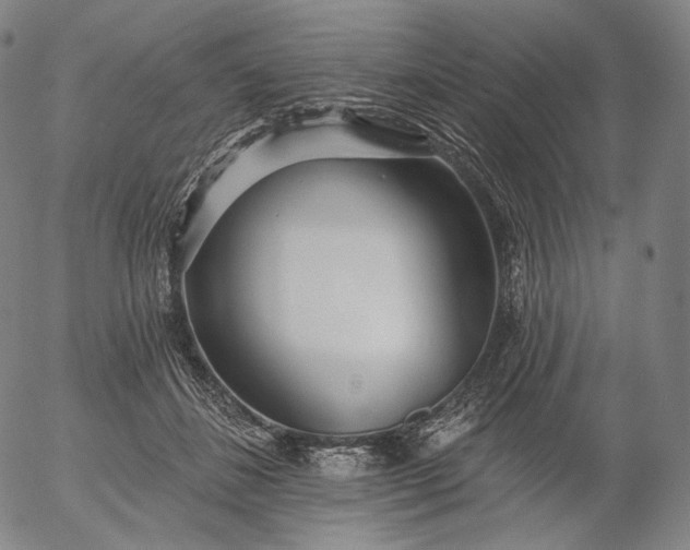 X0000055990508200509021642