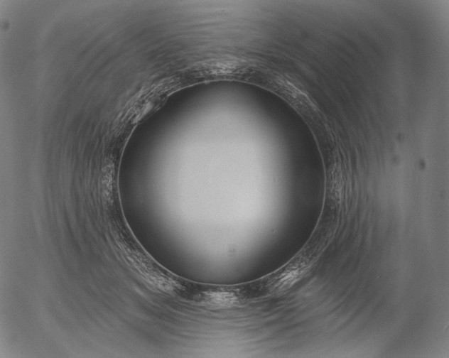 X0000055990509200509021642