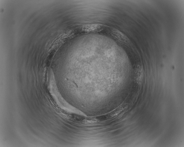 X0000055990510200509021642