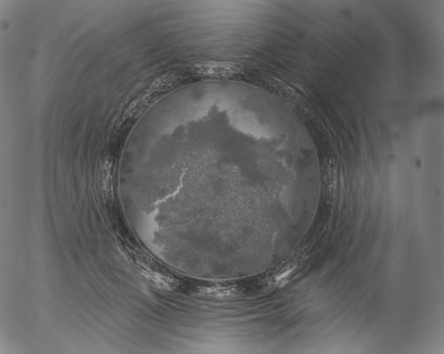 X0000055990511200509021642