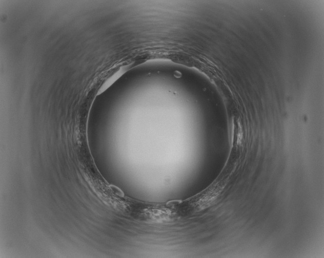 X0000055990512200509021642