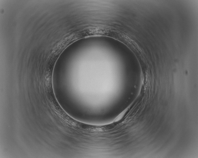 X0000055990513200509021642