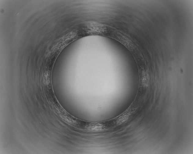 X0000055990514200509021642