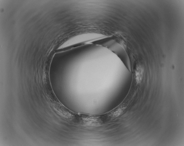 X0000055990516200509021642