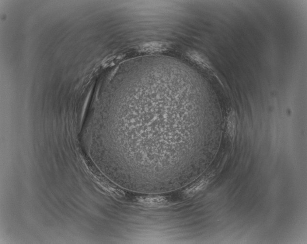 X0000055990517200509021642