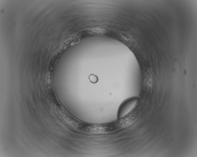 X0000055990518200509021642