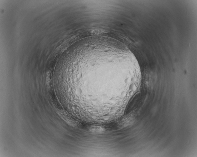 X0000055990519200509021642