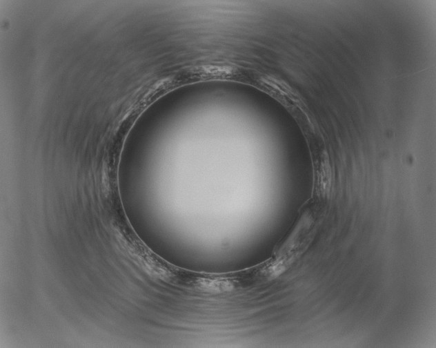 X0000055990520200509021641