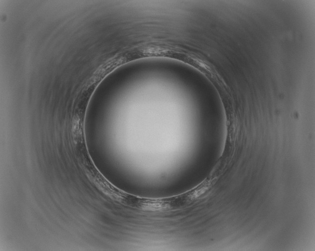 X0000055990521200509021641