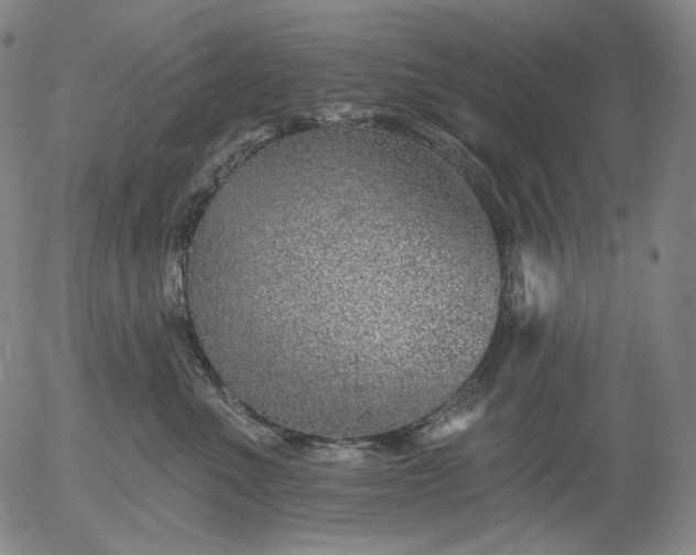 X0000055990523200509021641