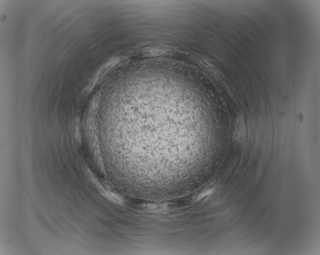 X0000055990524200509021641