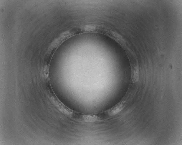 X0000055990525200509021641