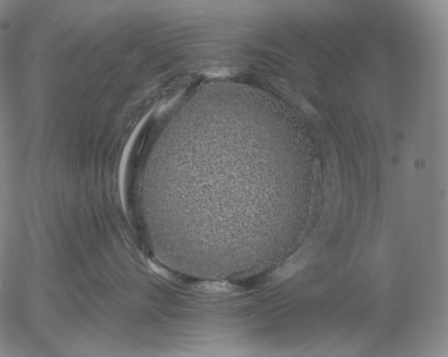 X0000055990528200509021641