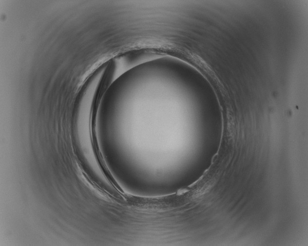 X0000055990530200509021641