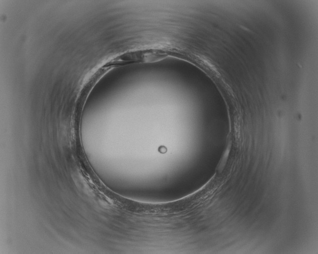 X0000055990532200509021641