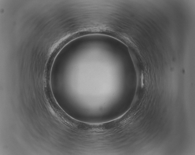 X0000055990536200509021641