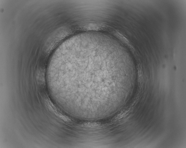 X0000055990537200509021641