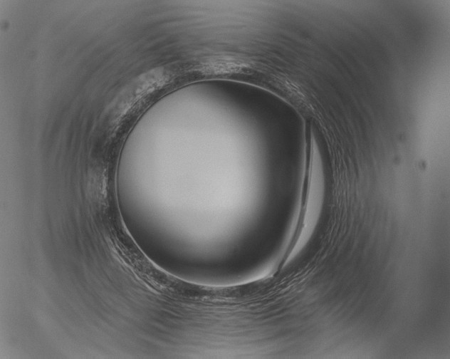 X0000055990539200509021641