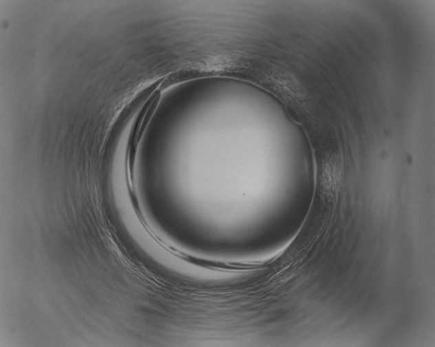 X0000055990540200509021641