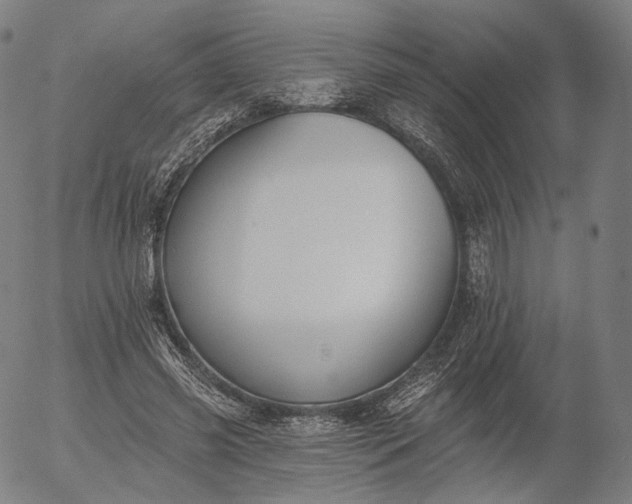 X0000055990541200509021641