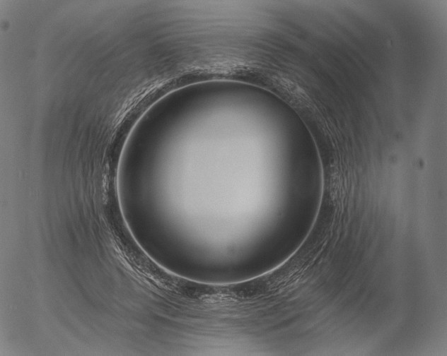 X0000055990544200509021641