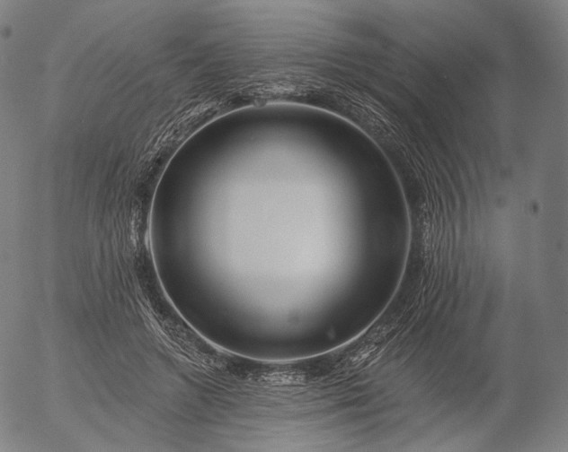 X0000055990546200509021641