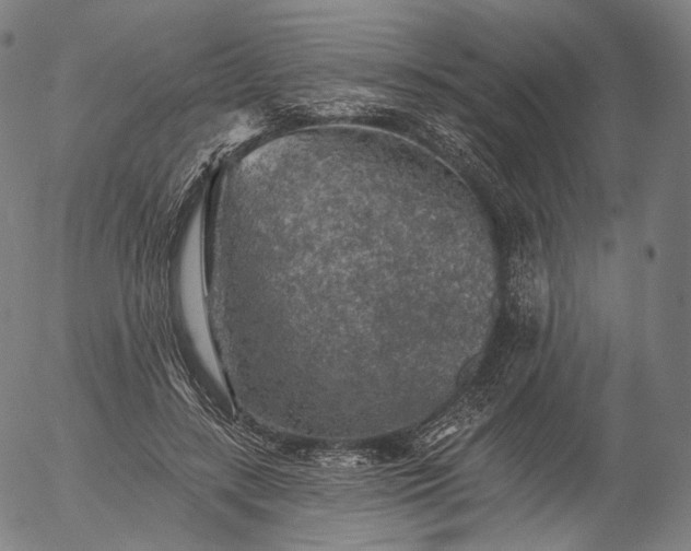 X0000055990547200509021641