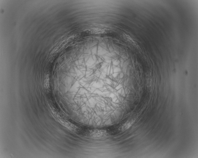 X0000055990549200509021641