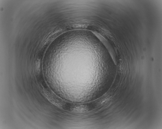 X0000055990550200509021641