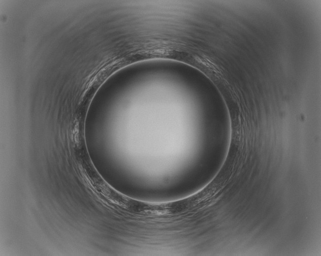 X0000055990552200509021641