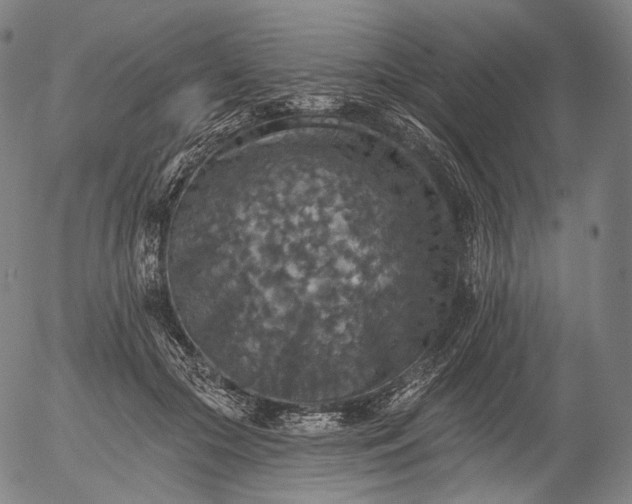 X0000055990553200509021641