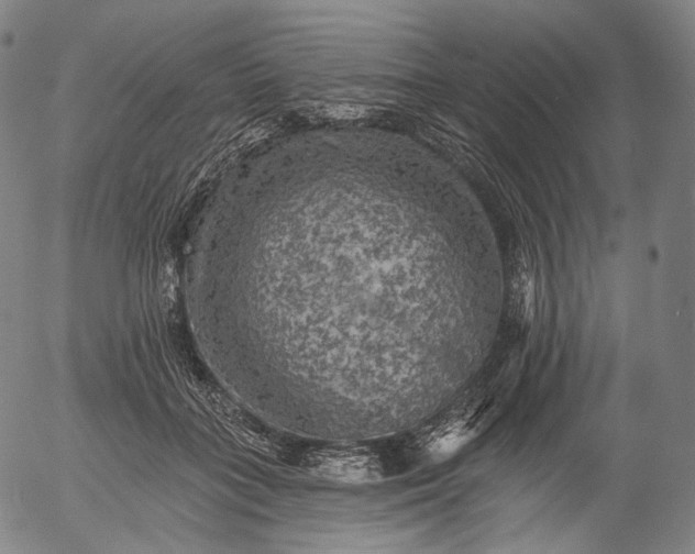 X0000055990555200509021641