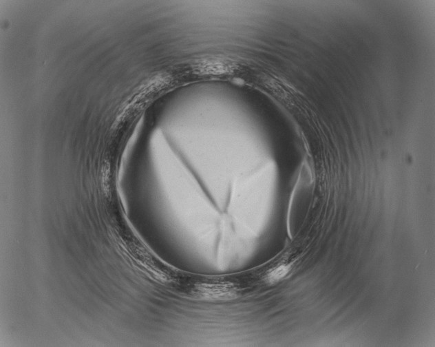 X0000055990556200509021641