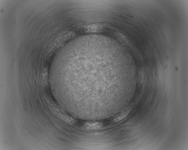 X0000055990557200509021641