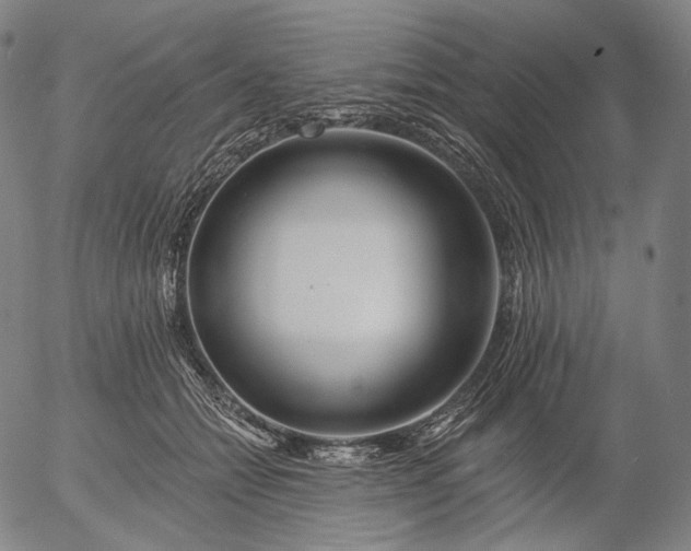 X0000055990558200509021641