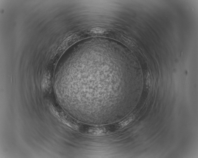 X0000055990559200509021641