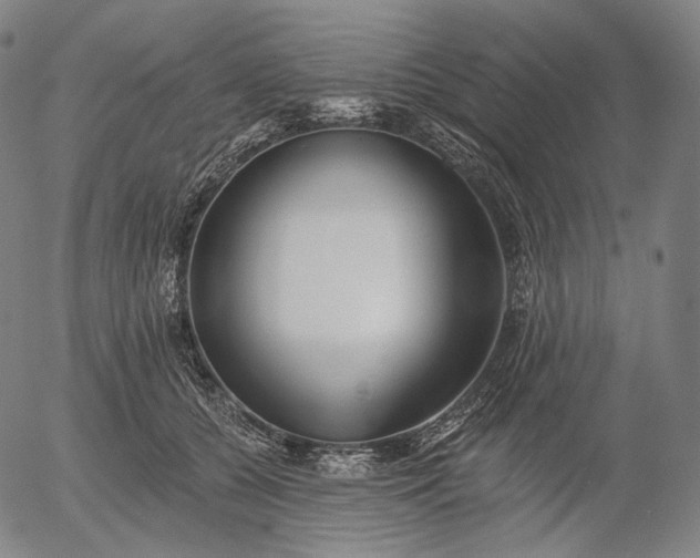 X0000055990560200509021641