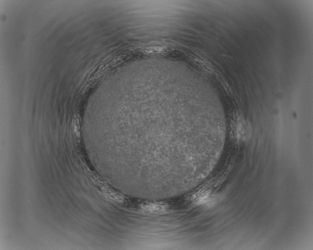 X0000055990561200509021641