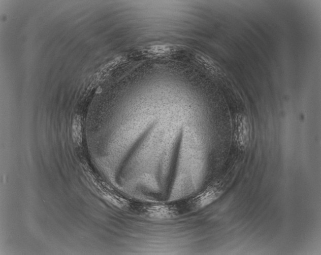 X0000055990562200509021641