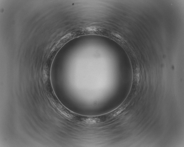 X0000055990566200509021641