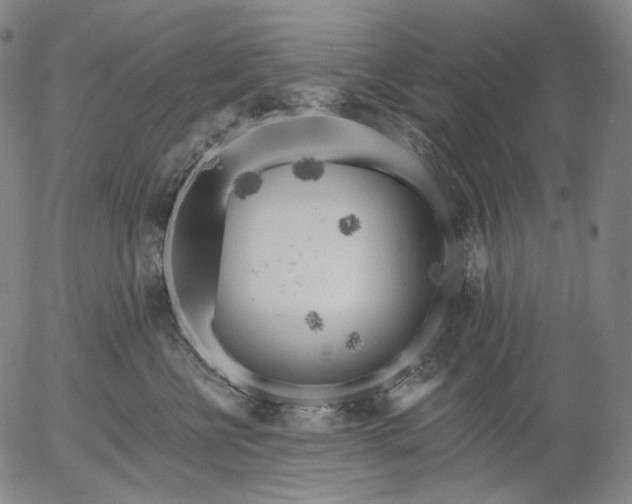 X0000055990570200509021641