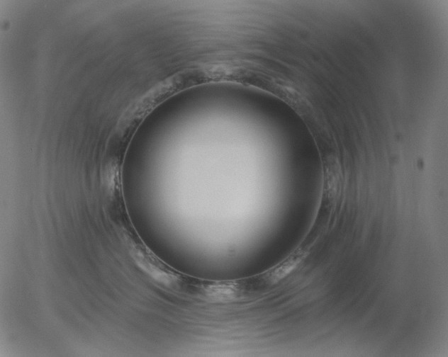 X0000055990574200509021641