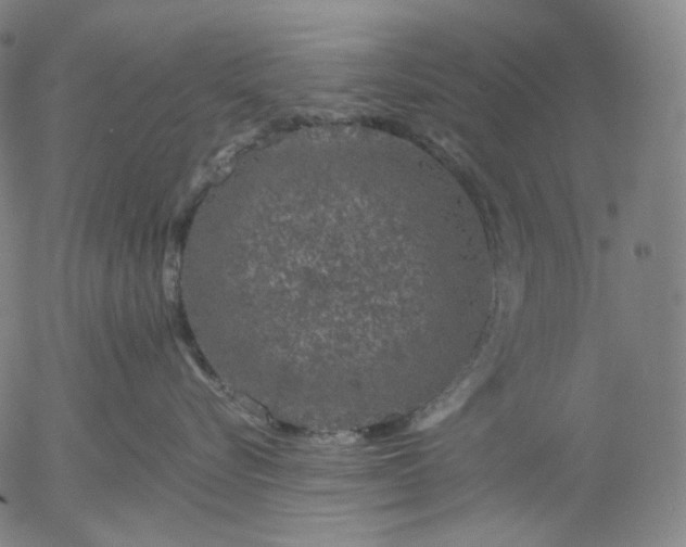 X0000055990576200509021641