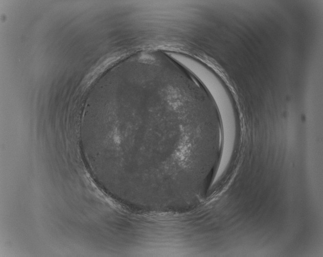 X0000055990577200509021641